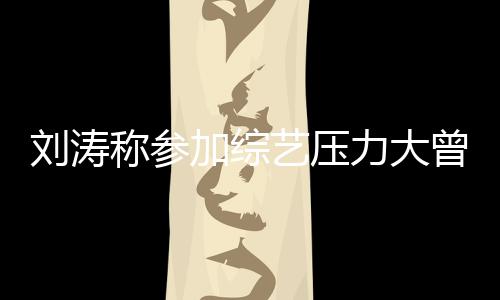 刘涛力大曾想在偶退出 现像是谢娜艺压称参加综