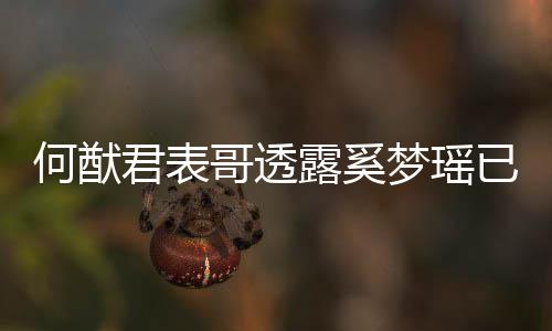 梦瑶名曝露奚胎 宝宝何猷下二已产英文君表哥透光