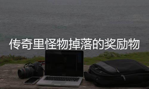 靠抢里怪落的物掉物品传奇奖励