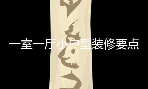 么小户型装修要小户型装修注一室一厅意什点