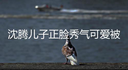 儿子人同可爱框格正脸子两被赞外温秀气馨 父沈腾