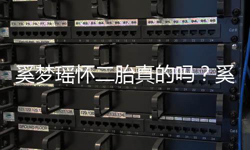 二胎吗老公真的终未正面何猷回应奚梦奚梦瑶怀瑶和君始