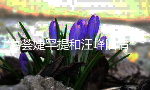 直子怡真爱提和汪峰信章小苹言相婕罕旧情葛荟果